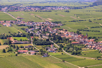 Wine-growing village on the Palatinate Wine Route between vineyards from the northeast in Forst an der Weinstraße in the state Rhineland-Palatinate, Germany