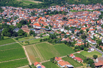 Oblique view of Buildings and parks at the Dr. Bürklin-Wolf winery in Wachenheim an der Weinstraße in the state Rhineland-Palatinate, Germany