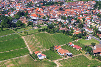 Buildings and parks at the Dr. Bürklin-Wolf winery in Wachenheim an der Weinstraße in the state Rhineland-Palatinate, Germany from above