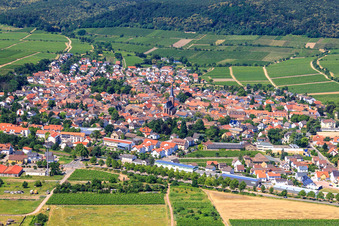 Wine-growing town on the Palatinate Wine Route between vineyards from the northeast in Deidesheim in the state Rhineland-Palatinate, Germany