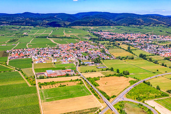 Wine-growing village between vineyards from the north in Ruppertsberg in the state Rhineland-Palatinate, Germany