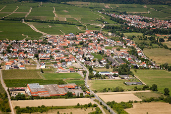 From the east with Ruppertsberger Weinkeller Hoheburg eG in Ruppertsberg in the state Rhineland-Palatinate, Germany