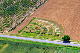 Aerial view of Colorful rows of beds in a field for growing vegetables and flowers in Kleinfischlingen in the state Rhineland-Palatinate, Germany