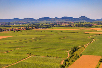 Riedgraben between vineyards to the edge of the Palatinate Forest in Essingen in the state Rhineland-Palatinate, Germany