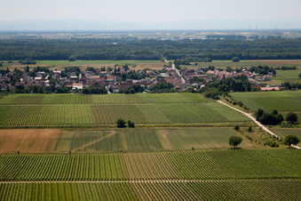 Aerial view of District Niederhochstadt in Hochstadt in the state Rhineland-Palatinate, Germany