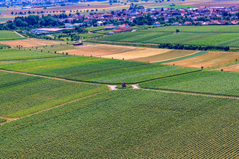 Structure of the observation tower Houschder Winzerturm in the district Niederhochstadt in Hochstadt in the state Rhineland-Palatinate, Germany