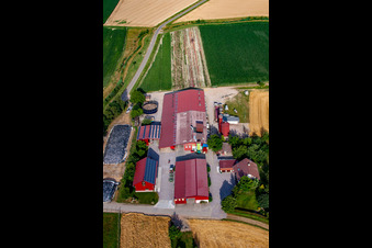 Oblique view of Hansjörg Körkel & Cornelia Will-Körkel Kirschhof in the district Bodersweier in Kehl in the state Baden-Wuerttemberg, Germany