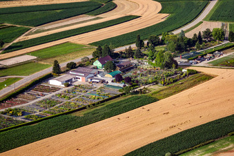 Garden Times Black in the district Bodersweier in Kehl in the state Baden-Wuerttemberg, Germany from a drone