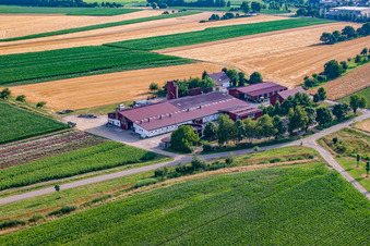 Grüner Fant UG Landscape gardening, wages and gardening work in the district Bodersweier in Kehl in the state Baden-Wuerttemberg, Germany