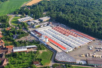 Weber-Haus in the district Linx in Rheinau in the state Baden-Wuerttemberg, Germany from the plane