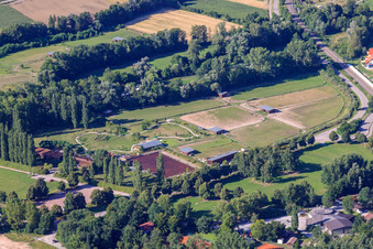 Mhou Ostrich Farm in Rülzheim in the state Rhineland-Palatinate, Germany