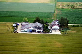 Wine and Sparkling Wine Estate Rosenhof in Steinweiler in the state Rhineland-Palatinate, Germany