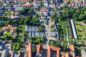 Greenhouses on Lindenstr in Rülzheim in the state Rhineland-Palatinate, Germany seen from a drone