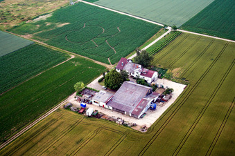 Aerial view of Wine and Sparkling Wine Estate Rosenhof in Steinweiler in the state Rhineland-Palatinate, Germany