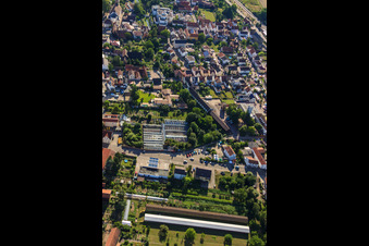 Greenhouses on Neue Landstr in Rülzheim in the state Rhineland-Palatinate, Germany