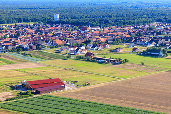 Seehof Horse Boarding in Hatzenbühl in the state Rhineland-Palatinate, Germany