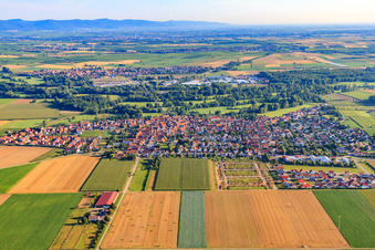 View of the town from the south in Steinweiler in the state Rhineland-Palatinate, Germany