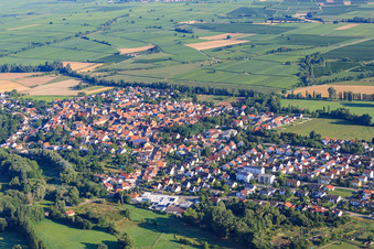 View of the town from the south in the district Billigheim in Billigheim-Ingenheim in the state Rhineland-Palatinate, Germany