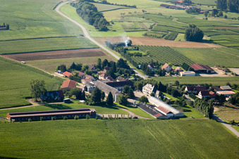 Steinseltz in the state Bas-Rhin, France seen from a drone