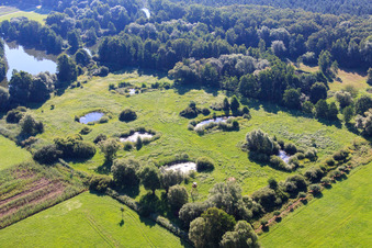 Biotope Steinfeld at the fish pond in Steinfeld in the state Rhineland-Palatinate, Germany