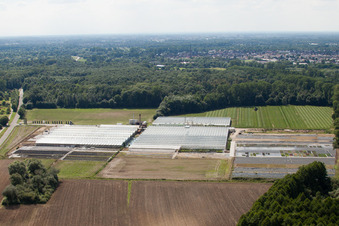 Reiß Horticulture in Malsch in the state Baden-Wuerttemberg, Germany