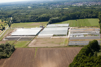 Aerial view of Reiß Horticulture in Malsch in the state Baden-Wuerttemberg, Germany
