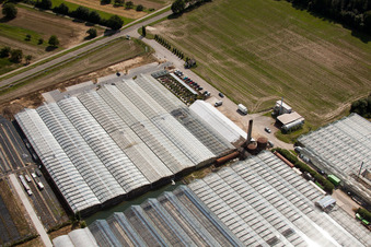 Oblique view of Reiß Horticulture in Malsch in the state Baden-Wuerttemberg, Germany