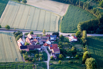 Aerial view of Welschhof in Freckenfeld in the state Rhineland-Palatinate, Germany