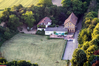 Game reserve on Lindenstr in Freckenfeld in the state Rhineland-Palatinate, Germany