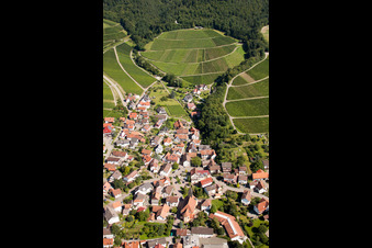 Village - view on the edge of wine yards and forest in the district Eisental in Buehl in the state Baden-Wurttemberg