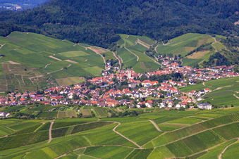 Wine-growing village in the vineyards in the district Altschweier in Bühl in the state Baden-Wuerttemberg, Germany