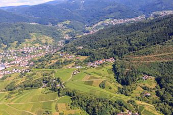 Wine-growing village in the vineyards in the district Riegel in Bühl in the state Baden-Wuerttemberg, Germany