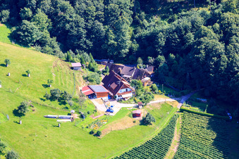 In Hennegraben in the district Riegel in Bühl in the state Baden-Wuerttemberg, Germany