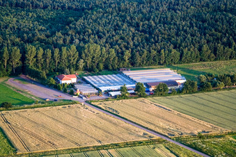 Cactus Land in Steinfeld in the state Rhineland-Palatinate, Germany