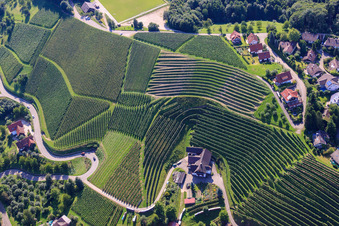 Aerial view of Kappelrodeck, vineyards near Bernhardshöfe in the district Büchelbach in Sasbachwalden in the state Baden-Wuerttemberg, Germany