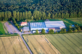 Aerial photograpy of Cactus Land in Steinfeld in the state Rhineland-Palatinate, Germany
