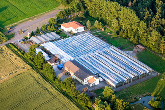 Cactus Land in Steinfeld in the state Rhineland-Palatinate, Germany seen from above