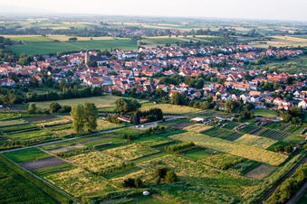Village from the southwest in Steinfeld in the state Rhineland-Palatinate, Germany
