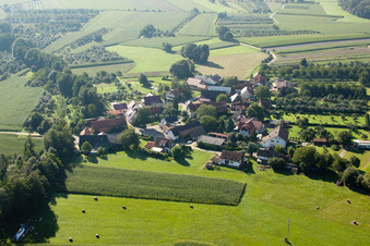 Ottersweier/Walzfeld