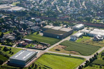 Oblique view of Building and production halls on the premises of Muffenrohr GmbH in Ottersweier in the state Baden-Wurttemberg