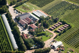 Fucheck. Strawberry farm Dr. Späth in Malsch in the state Baden-Wuerttemberg, Germany