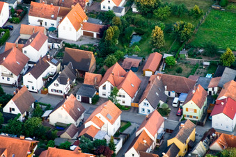 In Gänsried in Freckenfeld in the state Rhineland-Palatinate, Germany