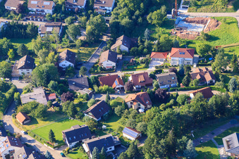 Small forest in the district Ellmendingen in Keltern in the state Baden-Wuerttemberg, Germany