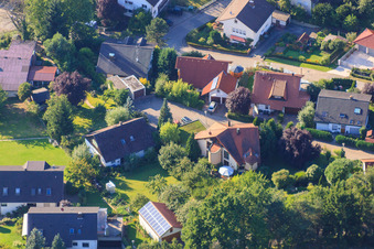 Aerial view of Small forest in the district Ellmendingen in Keltern in the state Baden-Wuerttemberg, Germany