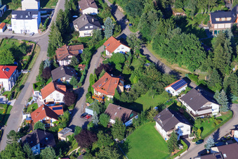 Oblique view of Small forest in the district Ellmendingen in Keltern in the state Baden-Wuerttemberg, Germany
