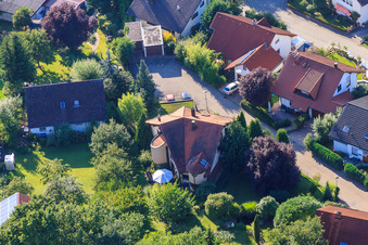Small forest in the district Ellmendingen in Keltern in the state Baden-Wuerttemberg, Germany seen from above