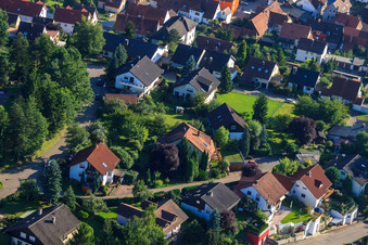 Bird's eye view of Small forest in the district Ellmendingen in Keltern in the state Baden-Wuerttemberg, Germany
