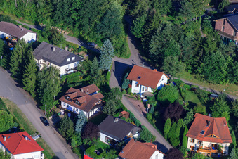 Small forest in the district Ellmendingen in Keltern in the state Baden-Wuerttemberg, Germany from the drone perspective