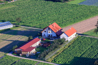 Aussiedlerhöfe Am Bildstöckel Müller family in Hatzenbühl in the state Rhineland-Palatinate, Germany