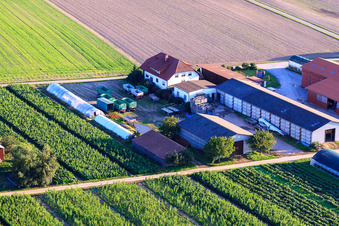 Aerial view of Aussiedlerhöfe Am Bildstöckel Dobler family in Hatzenbühl in the state Rhineland-Palatinate, Germany